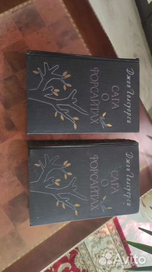 Сага о Форсайтах. 2 тома