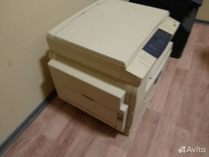 Мфу лазерный A3 Xerox WC5016 черно белый