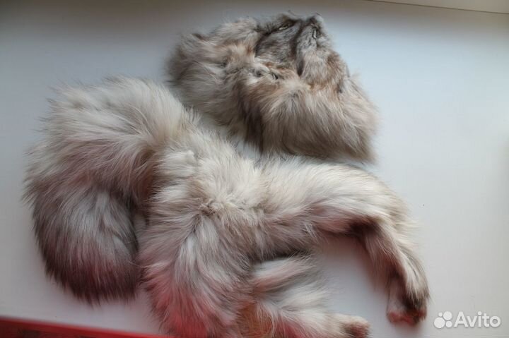 Песец, чулок полный, от мордочки с хвостиком