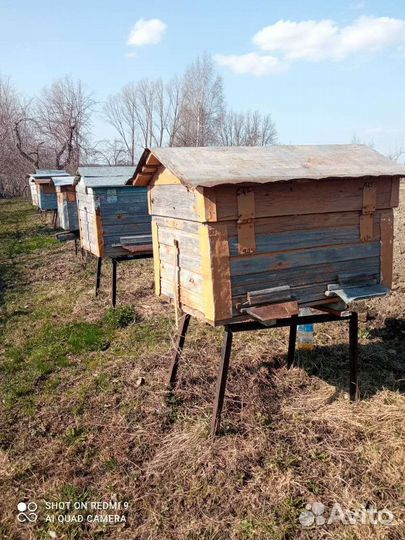 Ульи для пчел