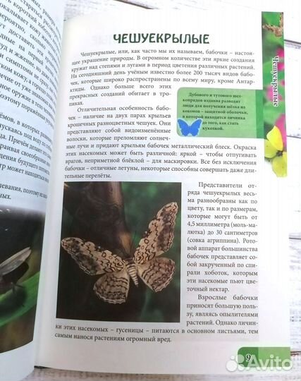 Детская энциклопедия Удивительный мир насекомыx