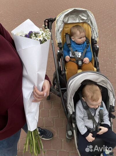 Коляска для двойни