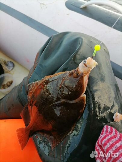 Снасть на камбалу с 6 утра