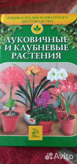 Энциклопедия комнатных растений