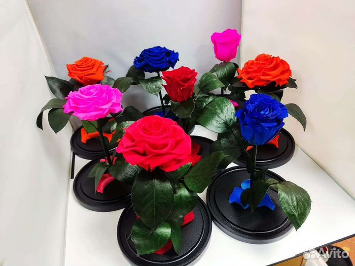 Роза в колбе оптом и в розницу