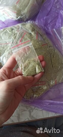 Кошачья мята