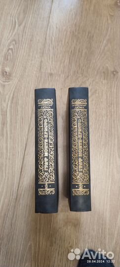 Граф Монте Кристо в двух томах