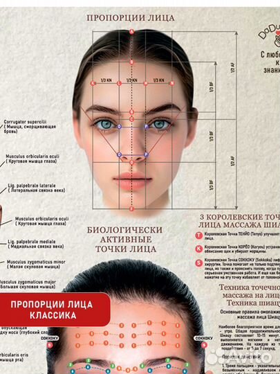 Постер по массажу лица 70х50см