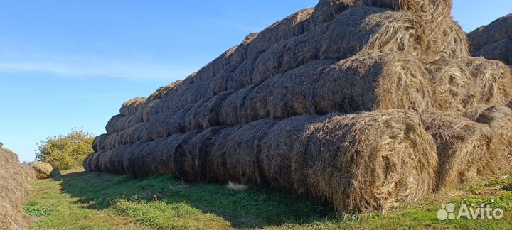 Сено в тюках