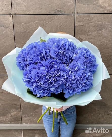 Гортензия / Букет цветов / Доставка цветов