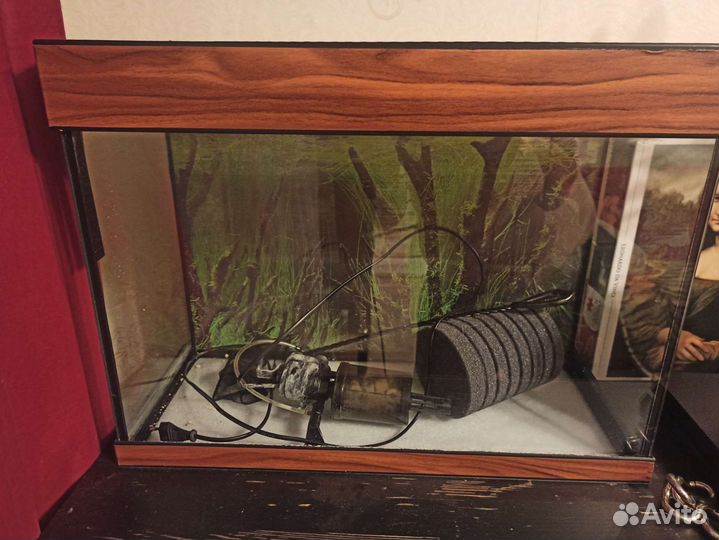 Аквариум