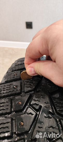 Maxxis ArcticTrekker NP3 205/60 R16 96T