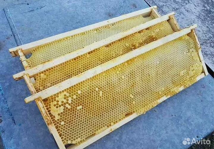 Сушь рамки магазинные Дадан