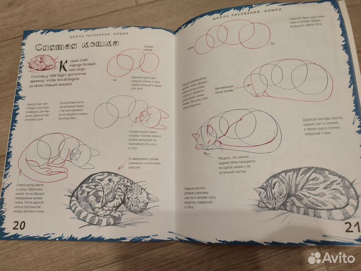 Книга школа рисования. Кошки