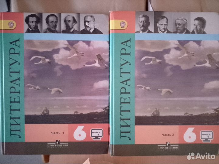 Учебник литература 6 класс (Коровина)