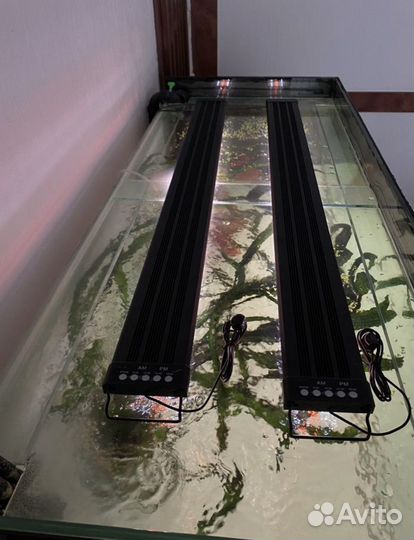 Fluval fx6, Tetra 1200, комплект для аквариума