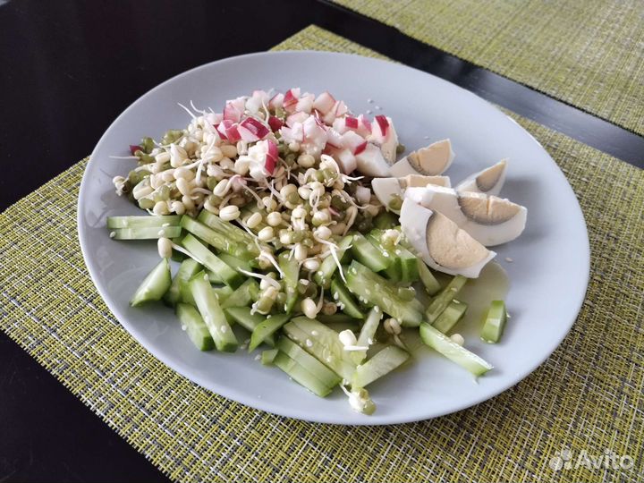 Проращиватель семян и микрозелени