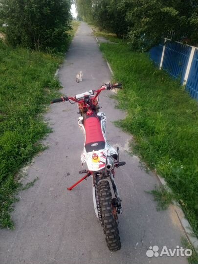 Продам питбайк