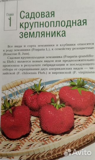 Книга Вкусные ягоды в вашем саду