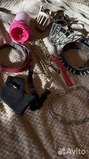 Амуниция для собак