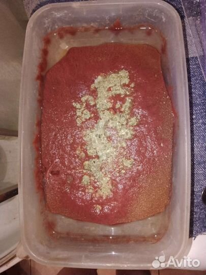 Живой корм для аквариумных рыбок