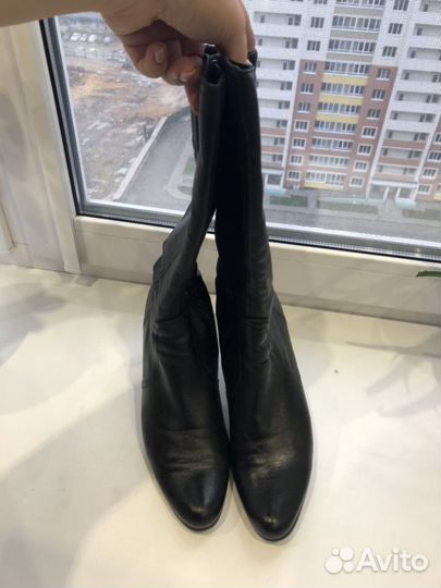 Сапоги осенние женские