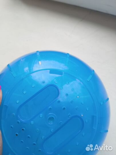 Прогулочный шар для грызунов