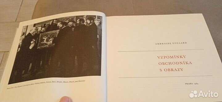 Воспоминания торговца картинами (на чешском)