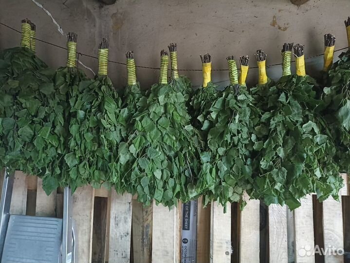 Берёзовые и липовые веники