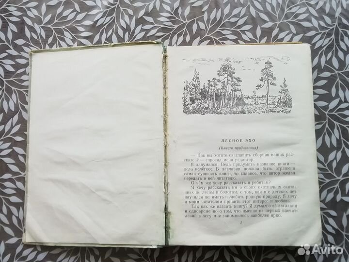 Г. Скребицкий Лесное эхо 1952