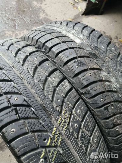 Gislaved Nord Frost 5 175/65 R14