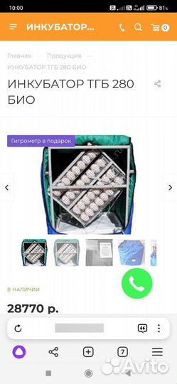 Инкубатор для яиц бу
