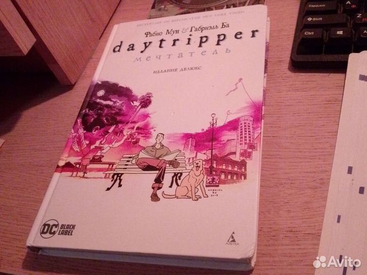 Daytripper