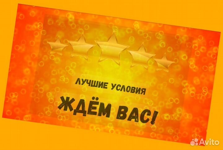 Этикеровщик без опыта Хорошие условия+Спецодежда