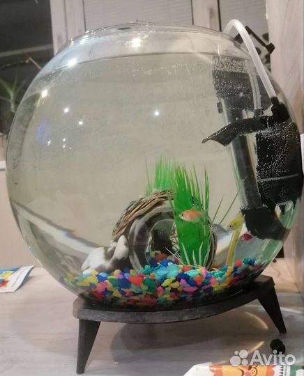 Аквариум