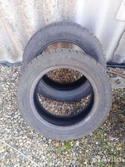 Semperit Speed Grip 2 185/60 R15