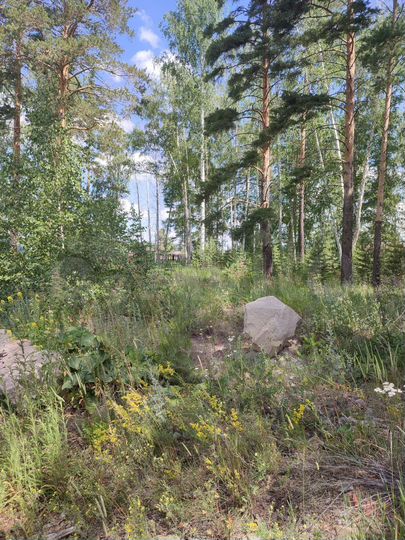 Участок 15 сот. (ИЖС)