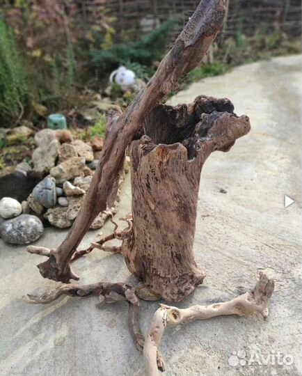 Пни и коряги для аквариумистики