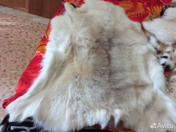 Шкура оленя