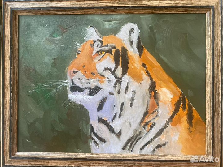 Картина Тигр. Масло 46см х 36см