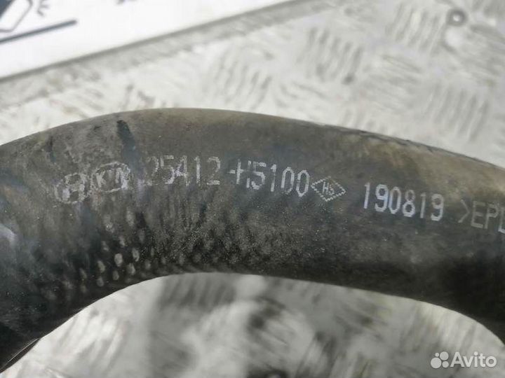 Патрубок радиатора нижний для Kia Rio 4