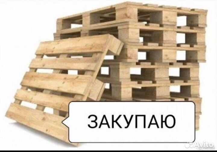 Поддоны