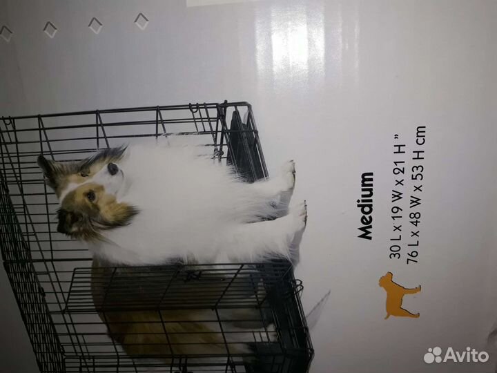 Клетка для средних собак или кошек