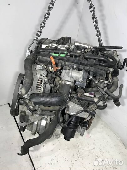 Двигатель BGB Audi A4 B7