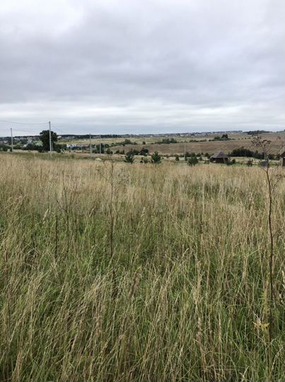 Участок 10 сот. (ИЖС)