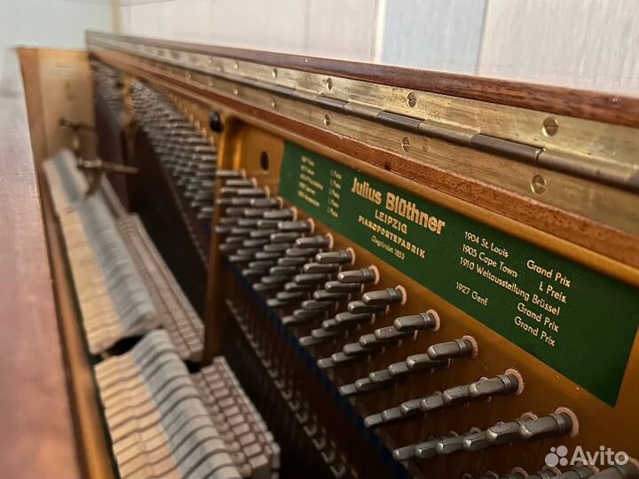 Фортепиано bluthner