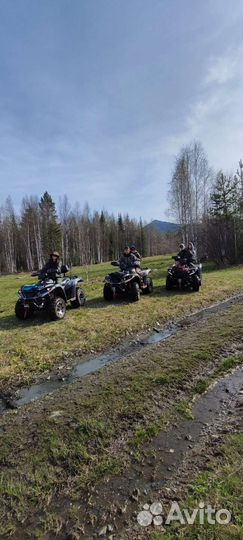 Прогулка на квадроцикле