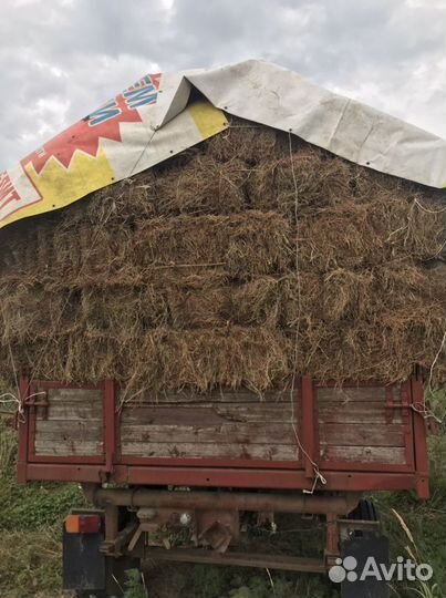 Сено в тюках