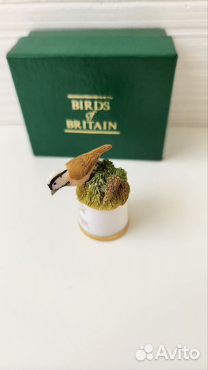Наперсток птицы Британии