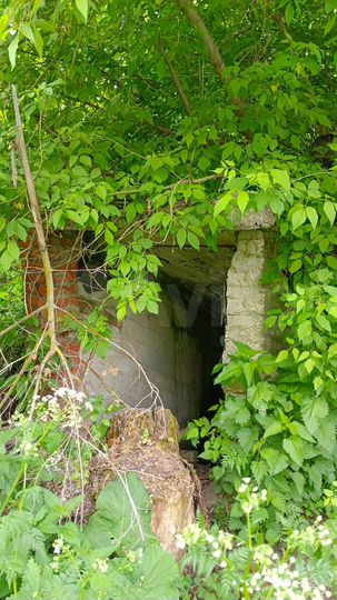 Участок 50 сот. (ИЖС)